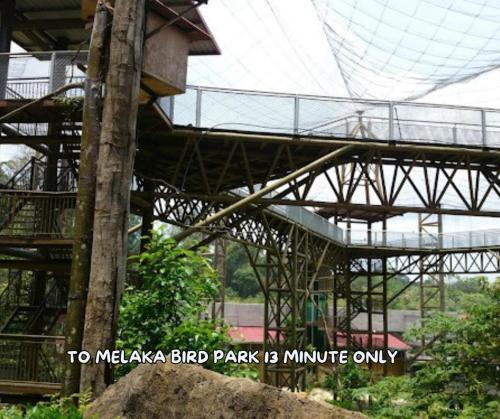 Fotografie z fotogalerie ubytování Umar's Lodge v destinaci Bemban