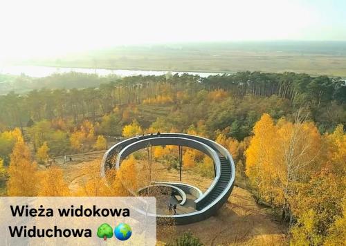 a circular ride on a hill in a forest at Rentumi Hostel Gryfino-Noclegi Turystyczne i Pracownicze in Gryfino