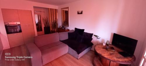 un salon avec un canapé et une télévision dans l'établissement Logement entier 40m2 Mar Vivo, à La Seyne-sur-Mer