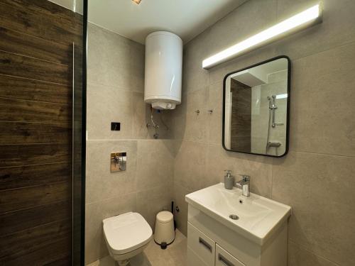 Koupelna v ubytování Vip Apartments Kopaonik