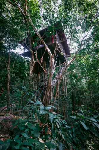 a tree house in the middle of a forest at Vythiri Resort in Vythiri