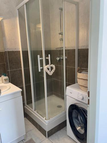 a shower in a bathroom with a washing machine at Appartement des Ponts Bleus in Martigues