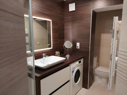 Un baño con lavabo y lavadora. en LE PANORAMIQUE, en Toulouse