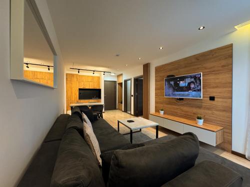 TV a/nebo společenská místnost v ubytování Vip Apartments Kopaonik