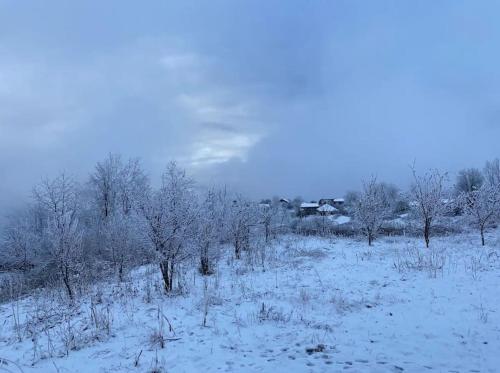 古道里的住宿－Gudauri Deka House，一片积雪覆盖着树木和房屋的田野