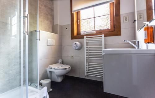 a bathroom with a toilet and a sink and a shower at Rezort Drevenice Terchova in Terchová