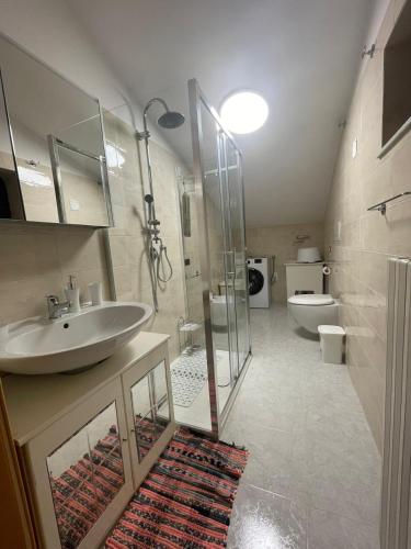 ein Bad mit einem Waschbecken, einer Dusche und einem WC in der Unterkunft Mansarda a Foiano in Foiano di Val Fortore