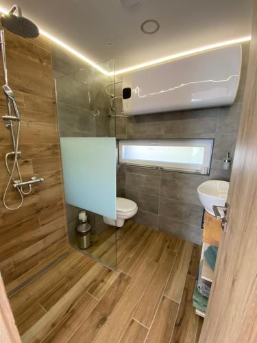 uma casa de banho com um WC e um lavatório em Swan Apartman em Sándorfalva