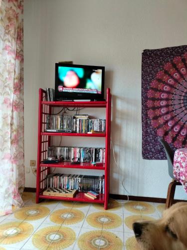 Biblioteca en el apartamento
