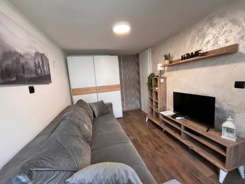 ein Wohnzimmer mit einem großen Sofa und einem Flachbild-TV in der Unterkunft Mirka in Sremski Karlovci