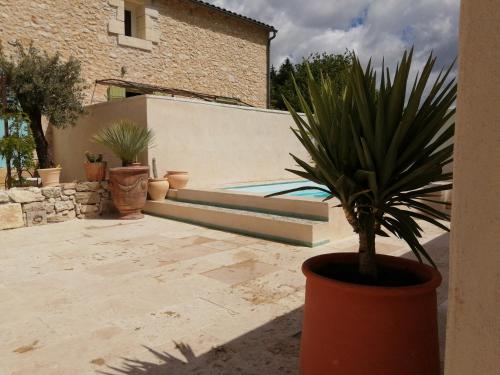a potted plant sitting next to a swimming pool at Mazet A l Ombre des Z ' oliviers in Port-Sainte-Foy-et-Ponchapt