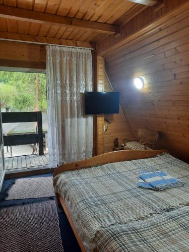 Schlafzimmer mit einem Bett, einem TV und einem Fenster in der Unterkunft Cabanuta Dan & Alex in Cîrţişoara