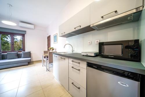 a kitchen with a sink and a microwave at Dimitra & Deslina Luxury Αpartments in Georgioupolis