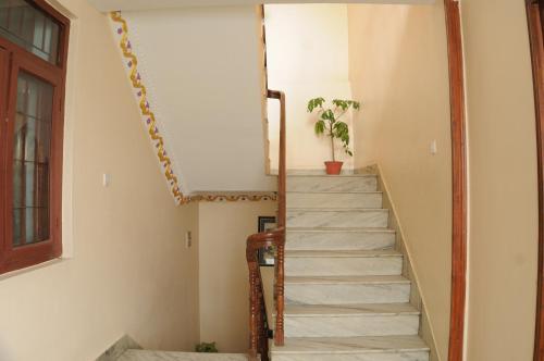 a staircase in a house with a potted plant at Hotel Brihaspati in Kathmandu