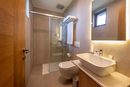 a bathroom with a sink and a toilet and a shower at Dve Kule Resort & Winery in Bačinci