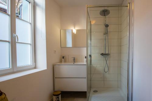uma casa de banho com um chuveiro e um lavatório. em Hesdin Appart Holidays 3 em Hesdin