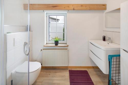 a bathroom with a toilet and a sink and a window at Vogelsberger Bett 7 die 1 in Alsfeld