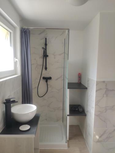 a bathroom with a shower with a sink and a toilet at Aux amoureux de Provence in Fox-Amphoux