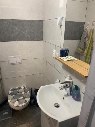 a bathroom with a sink and a toilet at Apartment Gajsek in Zavrč