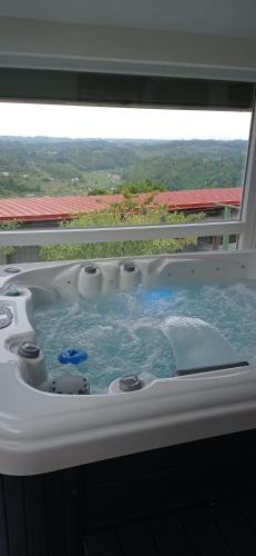 a jacuzzi tub in a room with a view at Apartment Gajsek in Zavrč