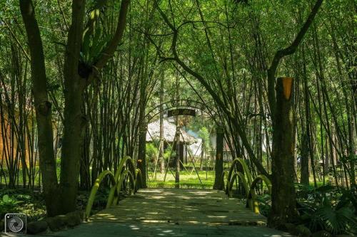 a path through a forest of trees in a park at Mango room2 in Xóm Chua Thanh