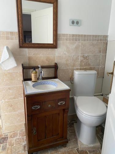 Dancé的住宿－Le Manoir du Plessis，一间带卫生间、水槽和镜子的浴室