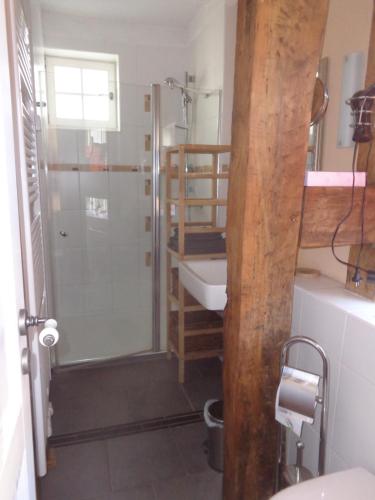 a bathroom with a shower and a sink at Neele in Lauterbach