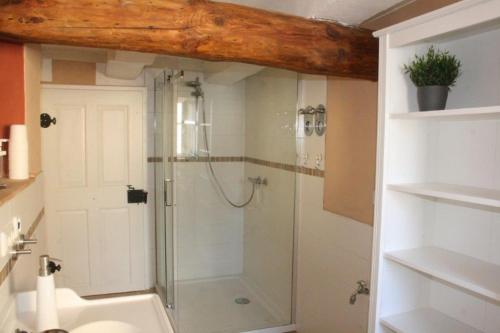 uma casa de banho com um chuveiro e uma porta de vidro em Eulennest em Lauterbach
