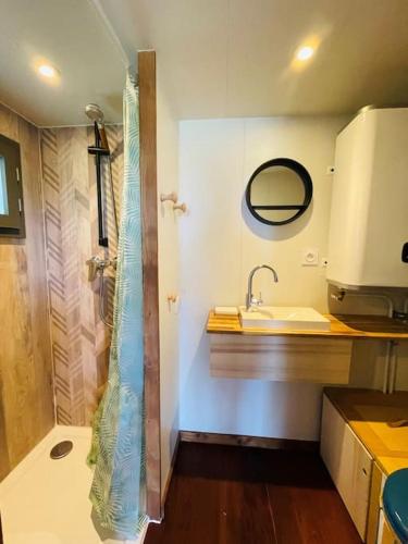 une salle de bain avec une douche, un lavabo et un miroir dans l'établissement Tiny La Truffière-SPA-Insolite, à Daglan