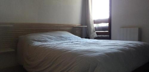 ein Bett in einem Schlafzimmer mit einem Fenster in der Unterkunft Les Isards Pied des pistes in Ax-les-Thermes