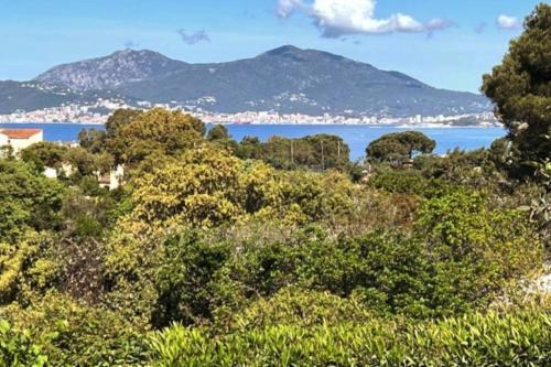 Φυσικό τοπίο κοντά σε αυτό το διαμέρισμα