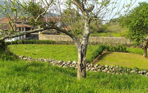 Taman di luar San Juan de Duz, Colunga