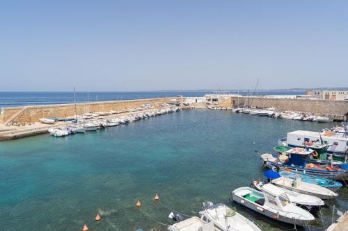 Eine Gruppe von Booten liegt in einem Hafen vor Anker. in der Unterkunft Alta Marea Lido San Giovanni in Gallipoli