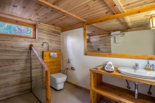 uma casa de banho com um lavatório e um WC em Elivaas Everly Luxury 1BHK Entire Home in Narkanda em Shimla