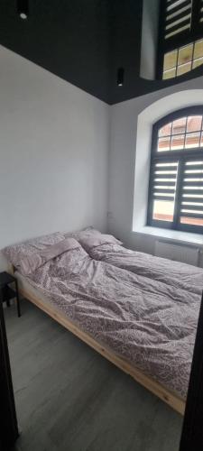 Bett in einem weißen Zimmer mit Fenster in der Unterkunft Nero in Mrągowo