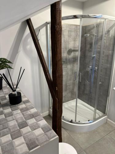 een douche met een glazen deur in de badkamer bij Szumi Las Bed & Breakfast in Józefów