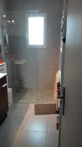 une salle de bain avec une douche avec un lavabo et une fenêtre dans l'établissement La maison de Noé, à Jaillans