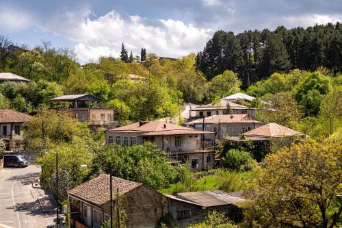 un grupo de casas en una colina con árboles en Rcheuli Marani, en Telavi