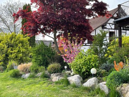a garden with flowers and rocks in front of a house at Bergchalet Mirabell - Hofgut in Friedrichshafen