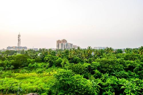 a field of trees with buildings in the background at Hotel Mahal in kolkata