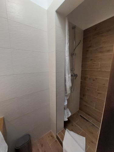 La salle de bains est pourvue d'une douche et de toilettes. dans l'établissement Color Home, à Veszprém