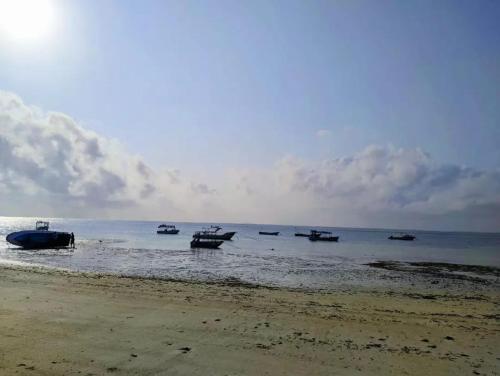 a group of boats in the water on a beach at Nightingale Apartments Hotel Mombasa in Shanzu