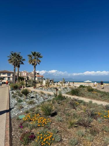 Studio Vieil Antibes rue du Bateau