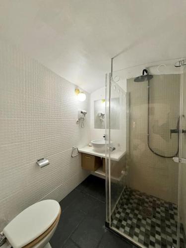 une salle de bain avec une douche, des toilettes et un lavabo dans l'établissement Studio Vieil Antibes rue du Bateau, à Antibes