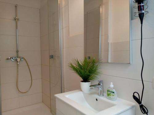 La salle de bains est pourvue d'une douche et d'un lavabo avec une plante. dans l'établissement Apartments City Center 8, à Hambourg