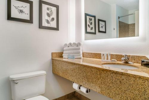 uma casa de banho com um lavatório, um WC e um espelho. em Country Inn & Suites by Radisson, Toledo South, OH em Rossford