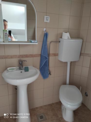 ein Badezimmer mit einem WC, einem Waschbecken und einem Spiegel in der Unterkunft Apartman u sumi nedaleko od mora in Bigovo