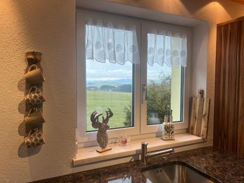 a kitchen window with a view of a field at Kuh Heimat - Bergblick - Terrasse in Buchenberg