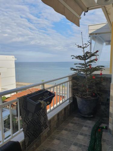 House Thalassa