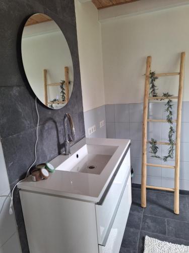 Gastenhuis Amstelmeerzicht. في Westerland: حمام مع حوض أبيض ومرآة